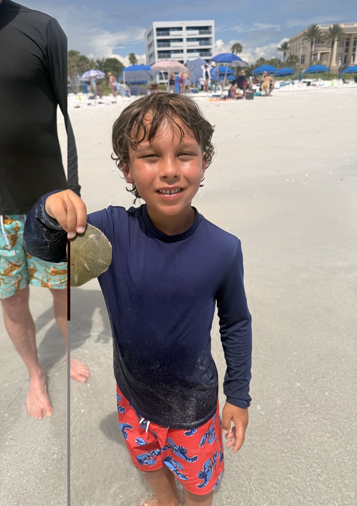 Copper holding a sand dollar on the beach