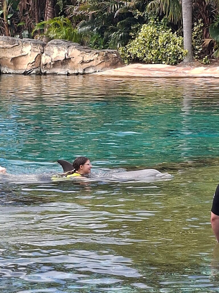Reilly swimming with a dolphin