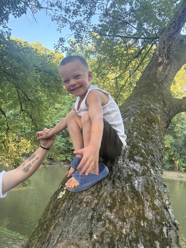 a child smiling while sitting in a tree
