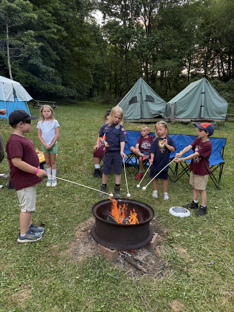 students around a camp fire roasting marshmallows