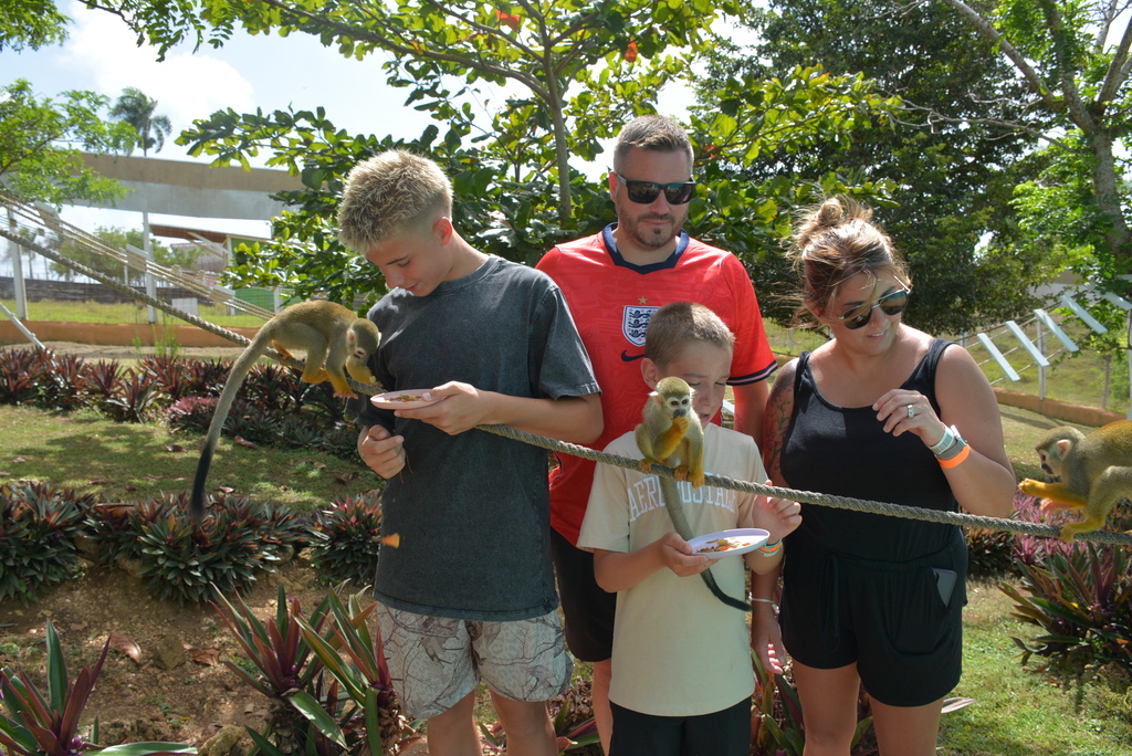 The Adams family feeding spider monkeys