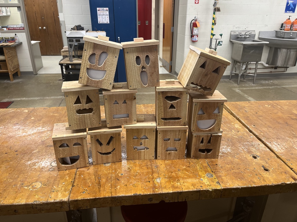 A picture of 12 pumpkins carved by the students in woodshop