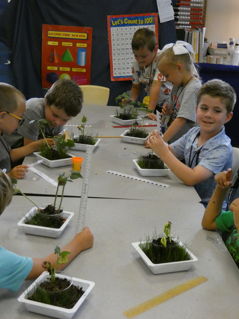 Students sit around a table looking at their plants
