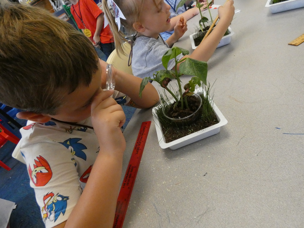 A student uses a magnifying glass to get a closer look at his plants