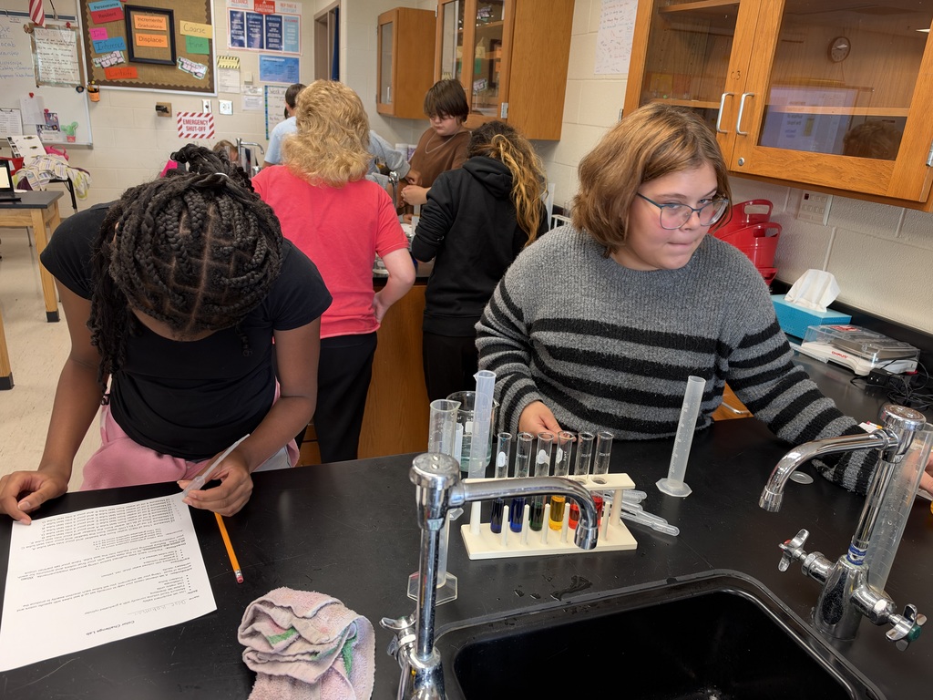 A student looks at test tubes filled with various colored liquids while another students writes on a worksheet