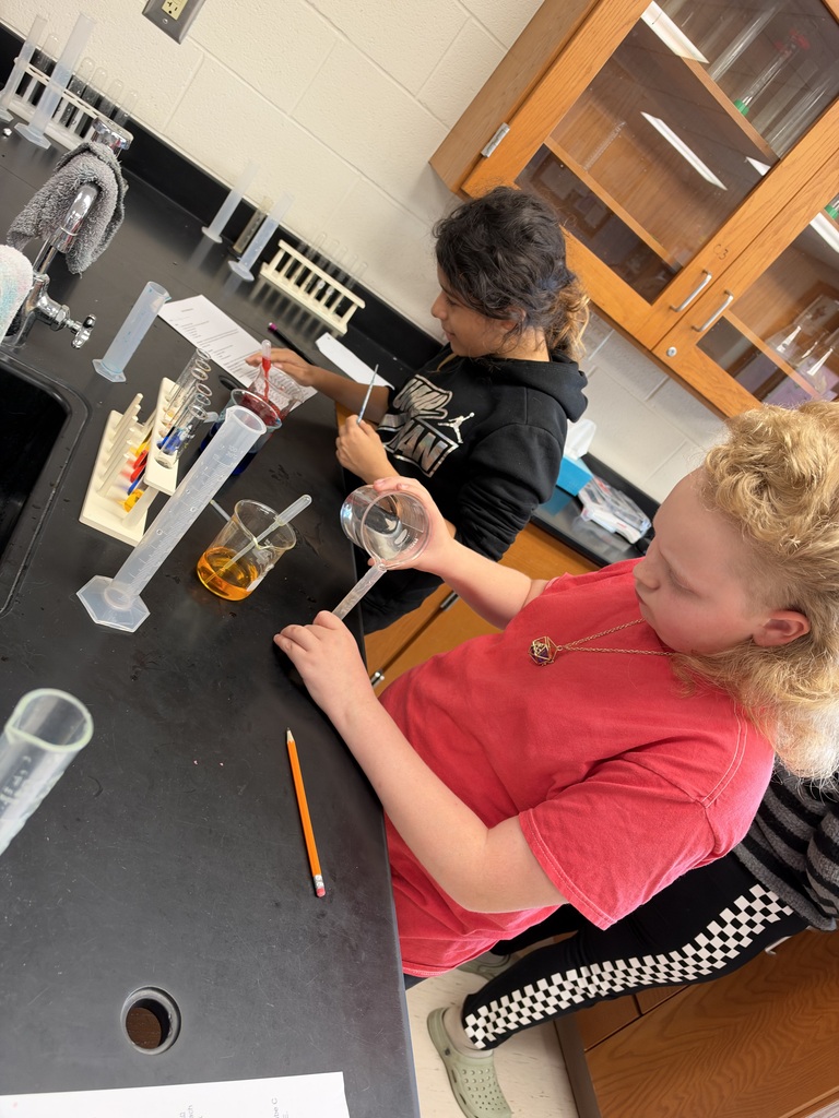 Two students pour liquids into a test tube