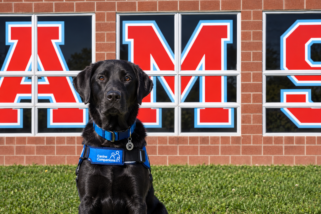 A black lab sits in front of giant red letters that spell out AMS