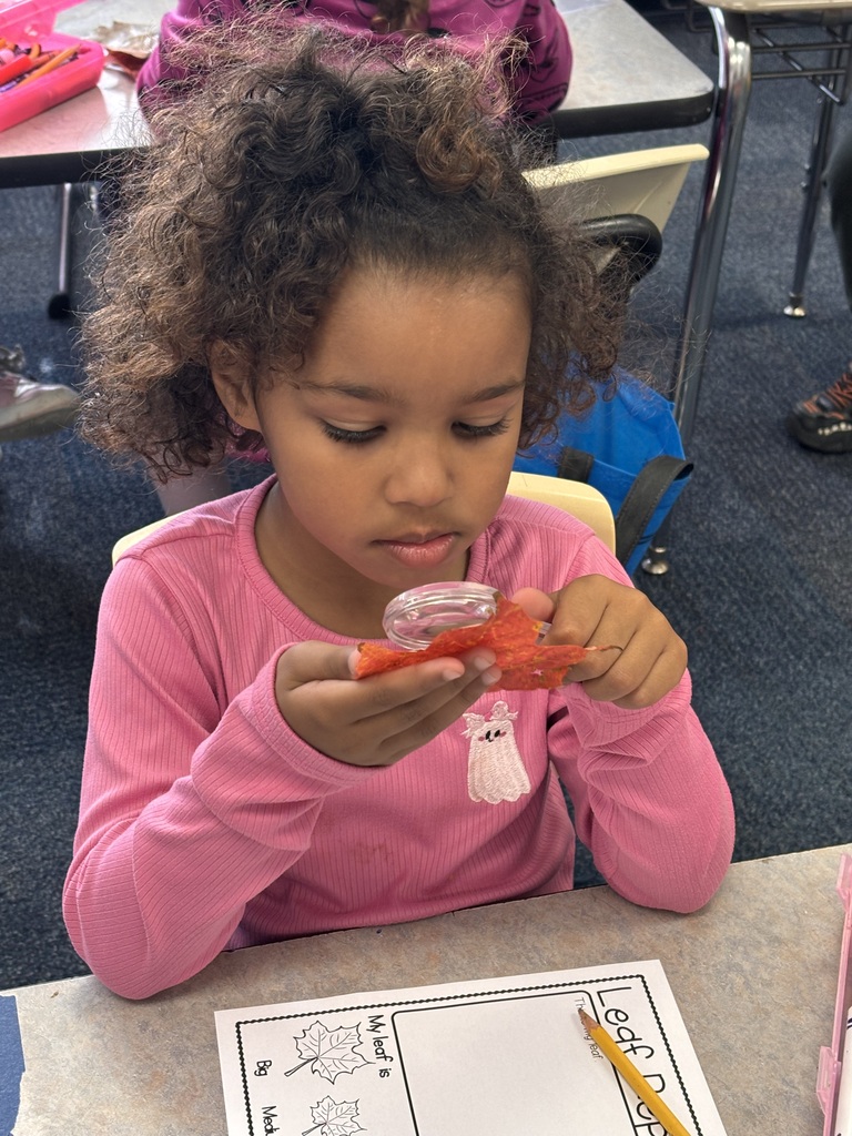 A  student uses a magnifying glass to look at a leaf