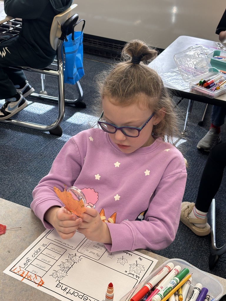 A  student uses a magnifying glass to look at a leaf
