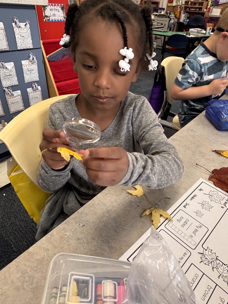 A  student uses a magnifying glass to look at a leaf