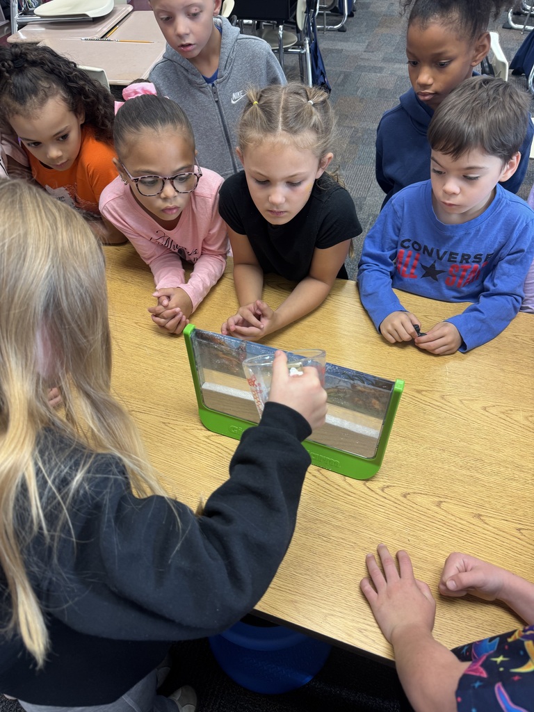 A group of students look at an ant farm