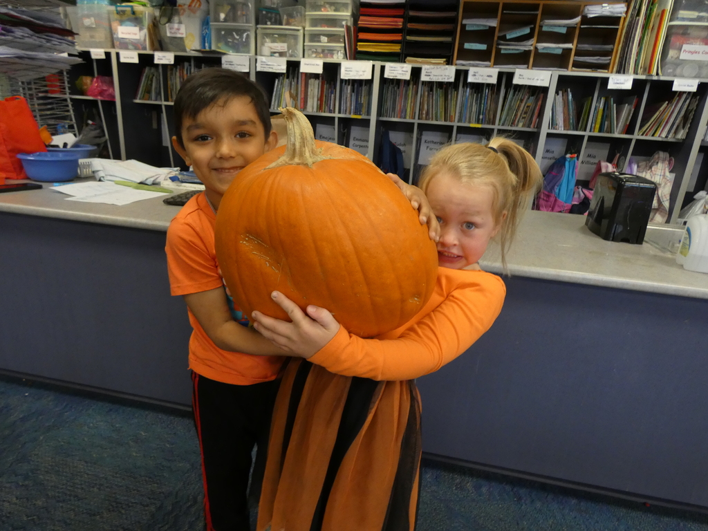 two students hold a very big pumpkin