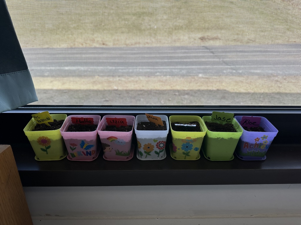 A row of seven colorful, decorated flower pots sitting on a classroom windowsill, each with a handwritten name tag including Mrs. Rolbiecki, Hadley, and Lydia.