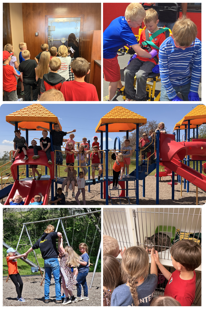 Overall Description: A photo collage showing children on a field trip, featuring a bank vault visit, playground time, and a visit to an animal shelter.  Top Left: A group of children stands in a wood-paneled room, looking toward a large, silver circular bank vault door.  Top Right: Two boys assist a third child who is buckled into a yellow transport chair, simulating a rescue.  Center: A wide shot of a large group of children climbing and posing on a bright red, blue, and yellow playground structure under a clear blue sky.  Bottom Left: Children play near a swing set in a grassy park area, interacting with a tall teenager or supervisor.  Bottom Right: A close-up of several children gently reaching out toward a tabby cat sitting inside a clean, white kennel at an animal shelter.