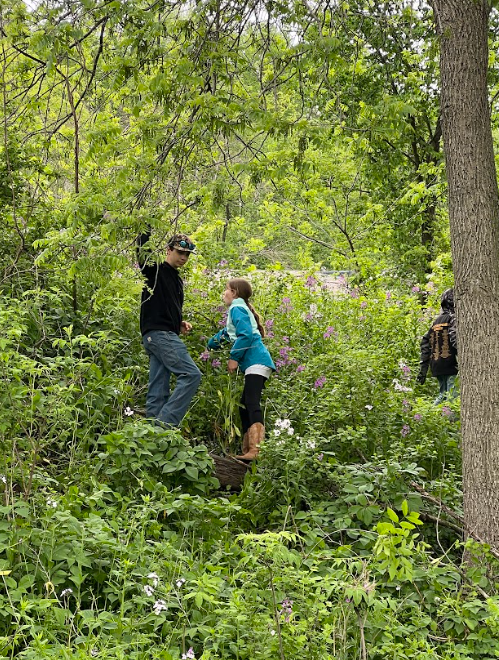 Kids picking invasivie species