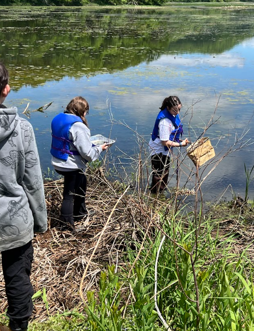 Kids sampling water