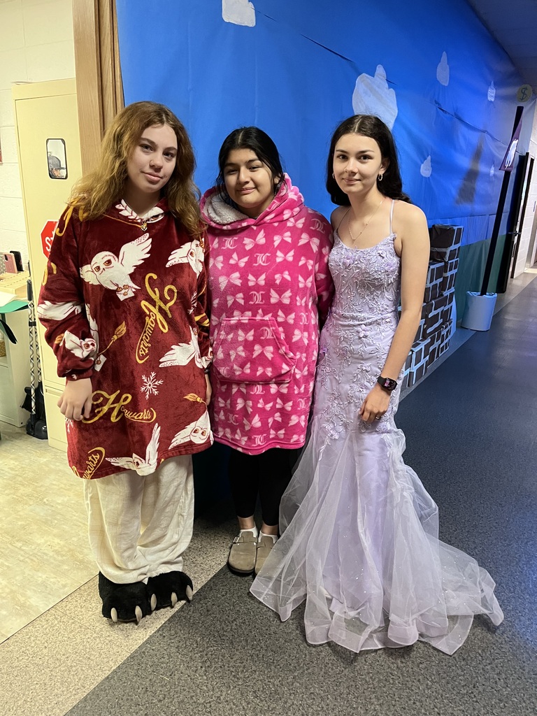 Three students pose together in a school hallway. One wears a red Harry Potter-themed outfit with owl designs, another wears a pink patterned fleece hoodie, and the third wears a light purple formal gown. A blue-and-white-themed hallway decoration is visible in the background. 