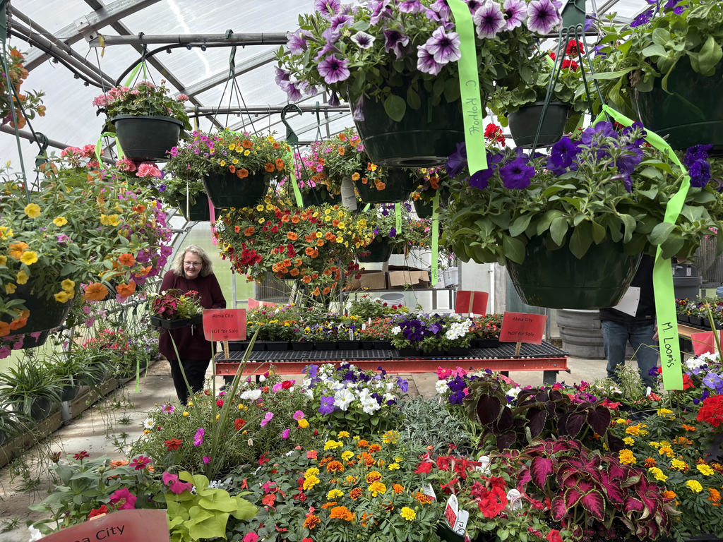 Multi-colored hanging plants