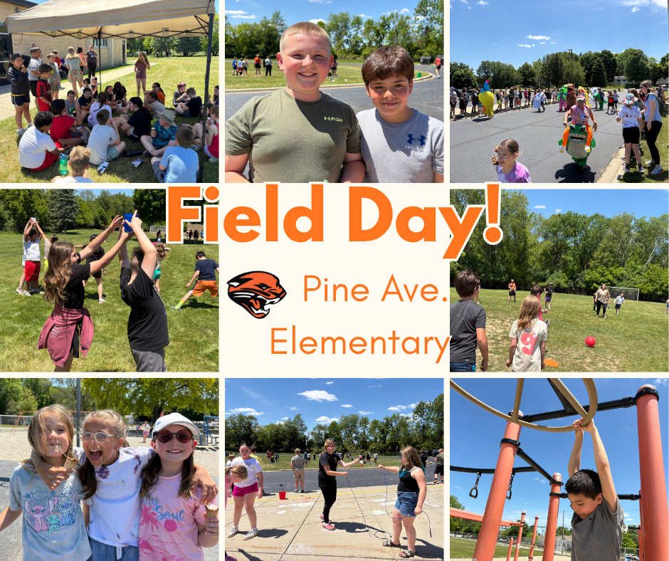 Field Day collage