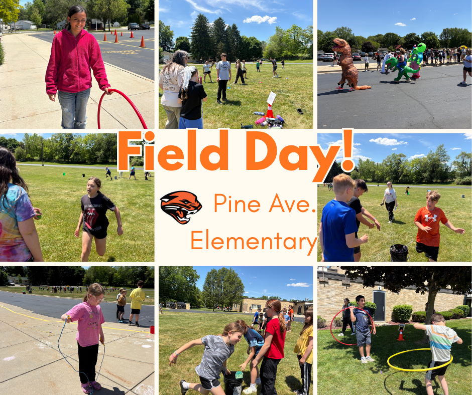 Field Day collage