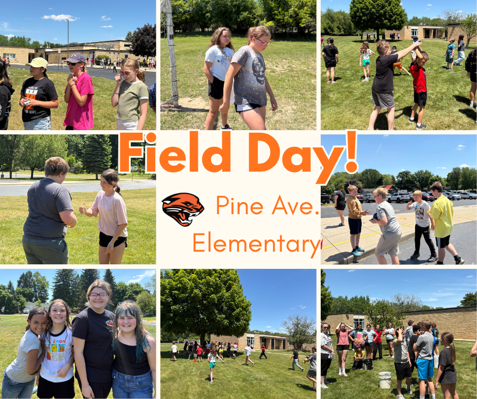 Field Day collage