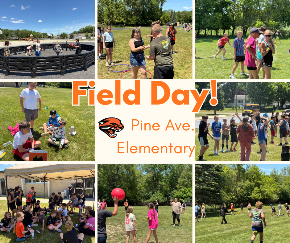 Field Day collage