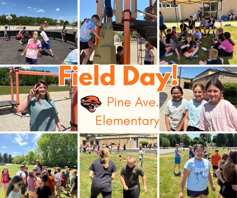 Field Day collage