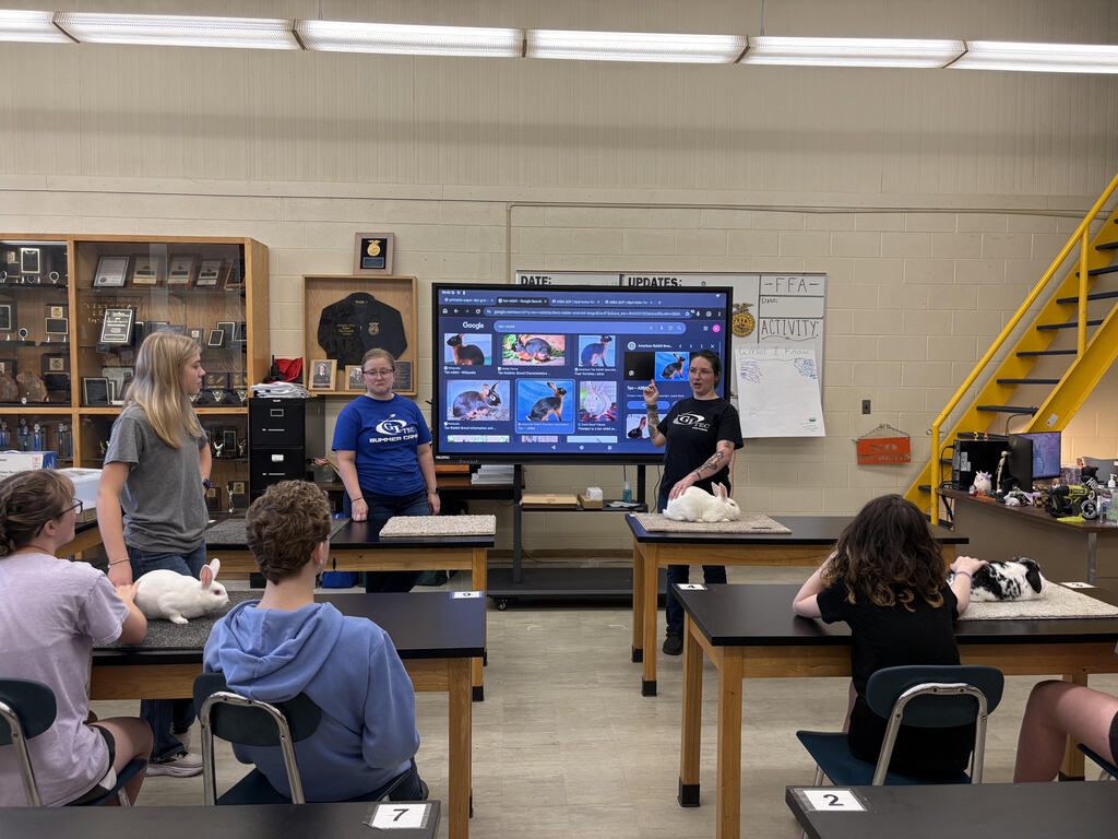 CTE summer camp students with rabbits