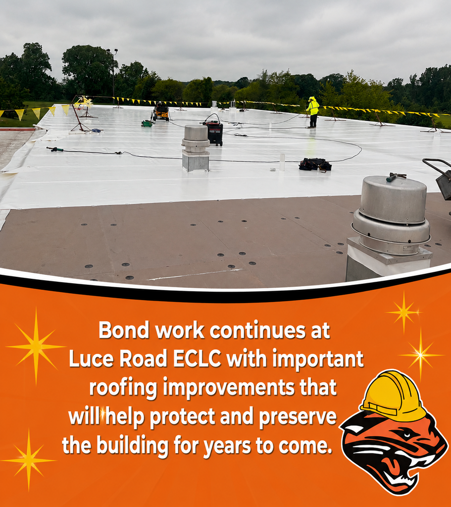 Luce Rd picture of roof with new surface