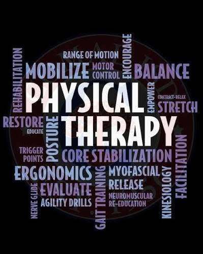 physical therapist day