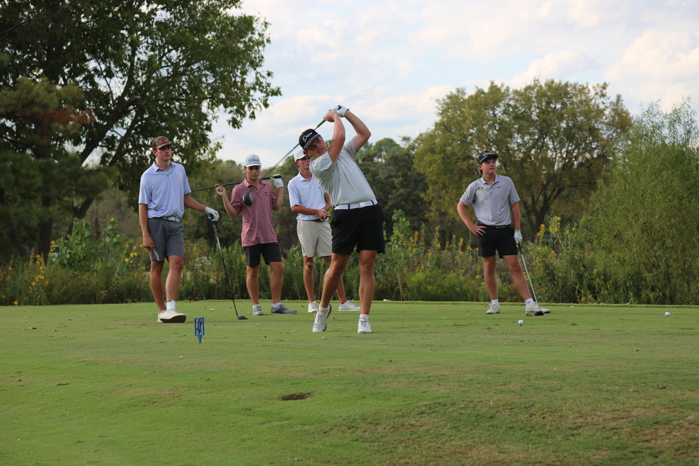 Airedale Golf Feature