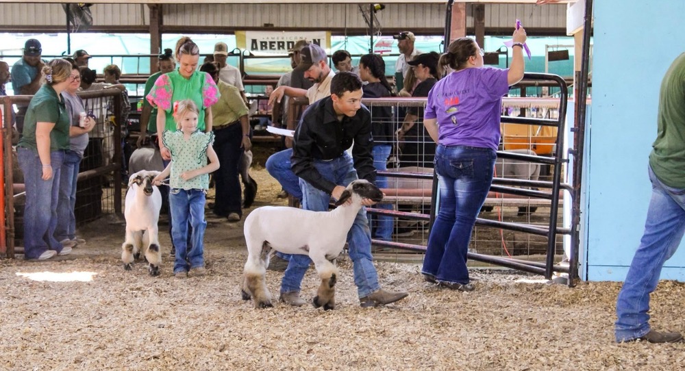 CC Fair