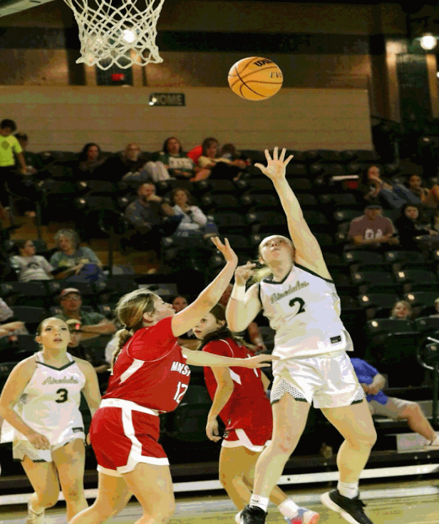 Holt, depth help Lady Airedales power past Lady Tigers, 59-31