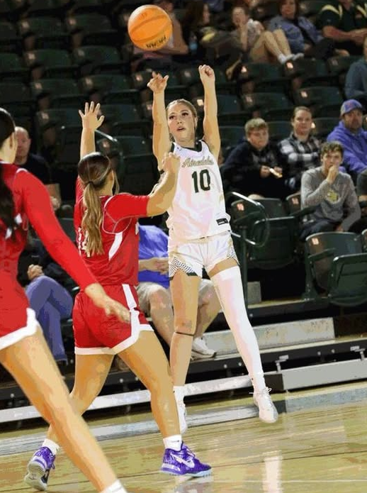 Lady Airedales Building Something
