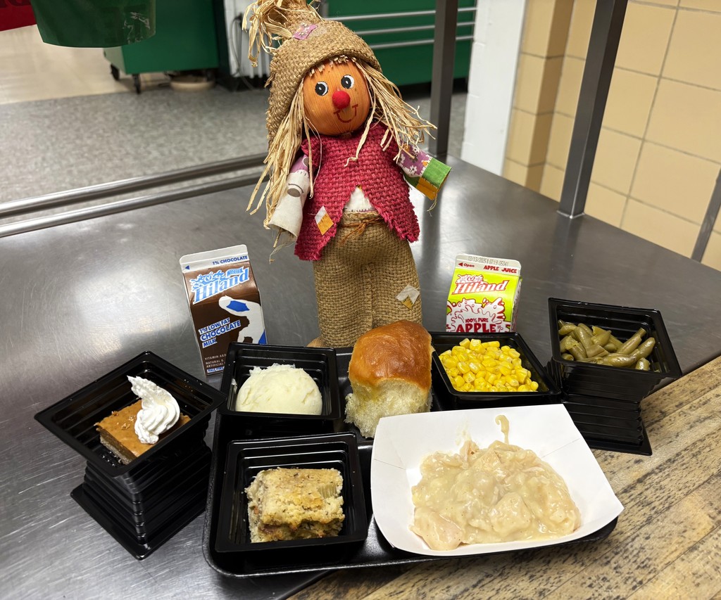 THANKSGIVING MEAL 10