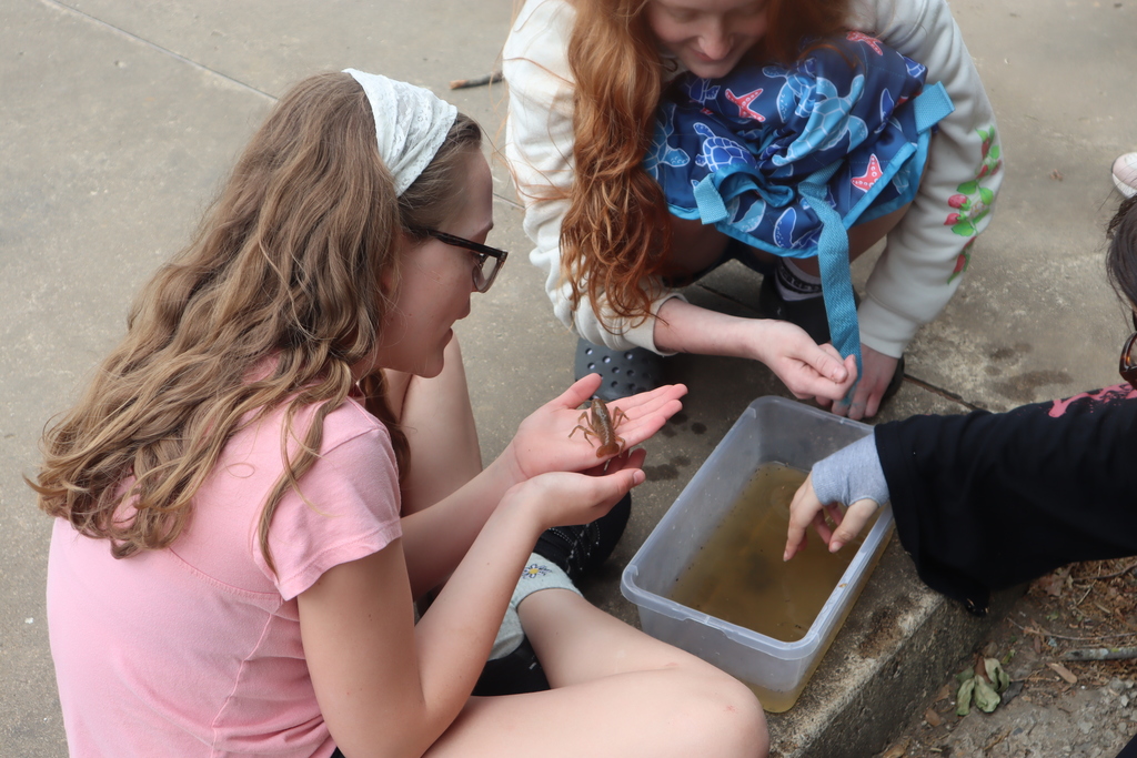 Earth Week at Alma Middle School