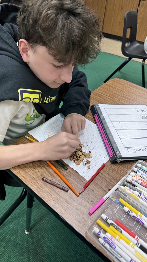 🍪⛏️ Cookie Mining Lab in Action! 🌲🏞️