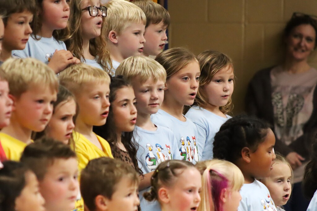 Kindergarten Programs