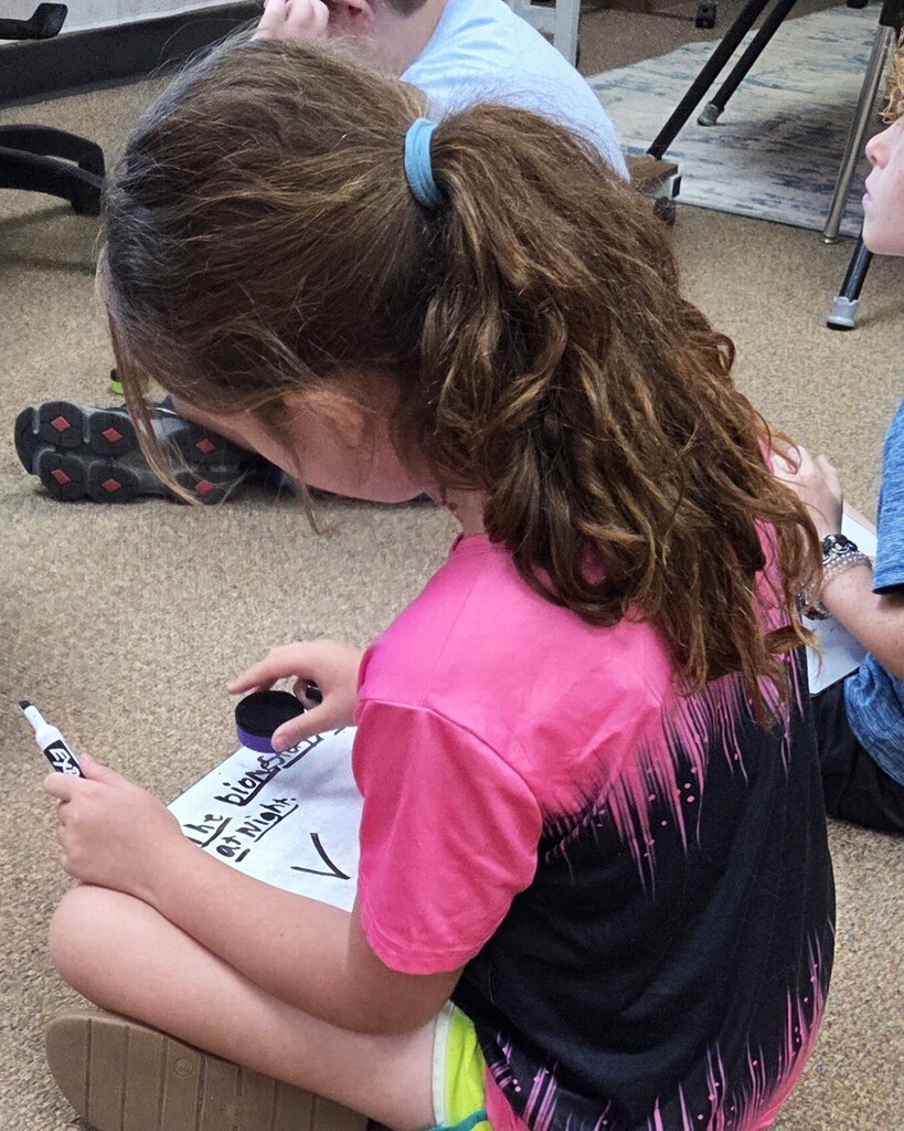 Literacy in Action at Camp Airedale & Summer School 3