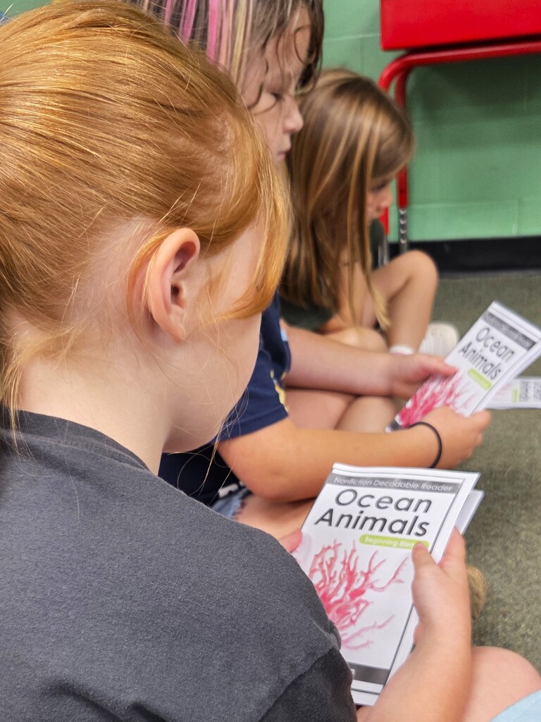 Literacy in Action at Camp Airedale & Summer School 5