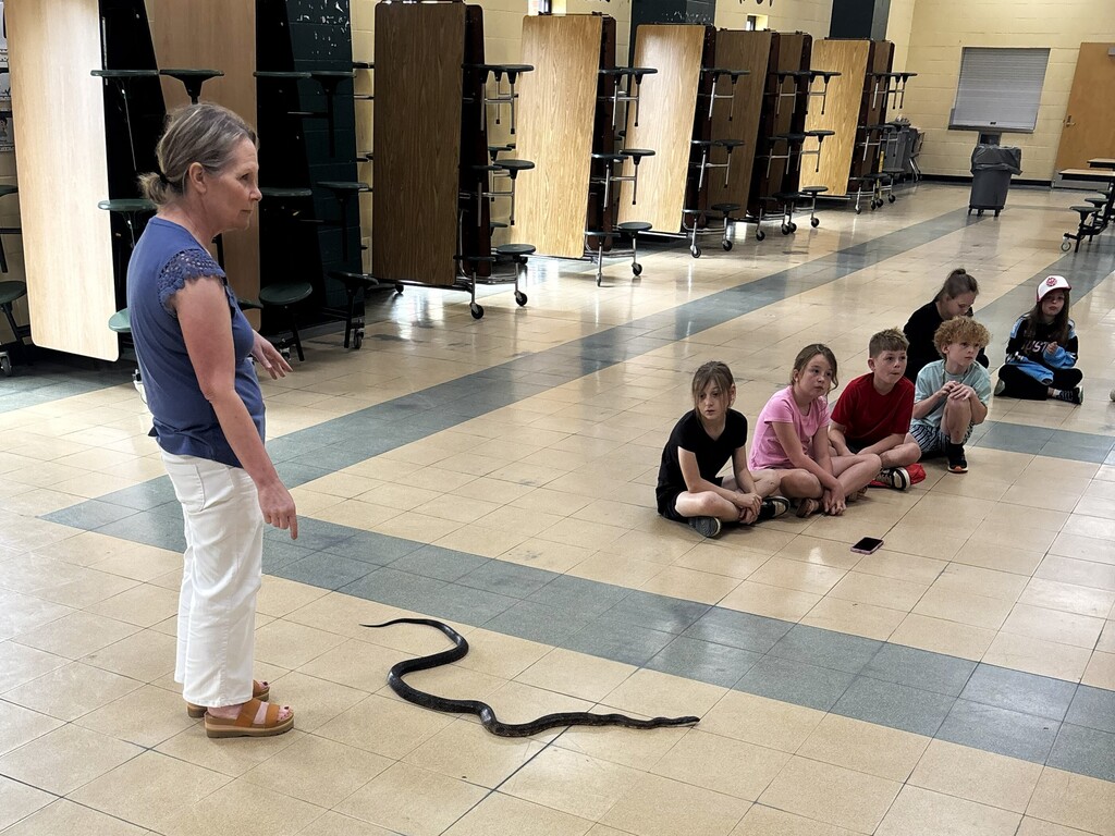 Science in Action