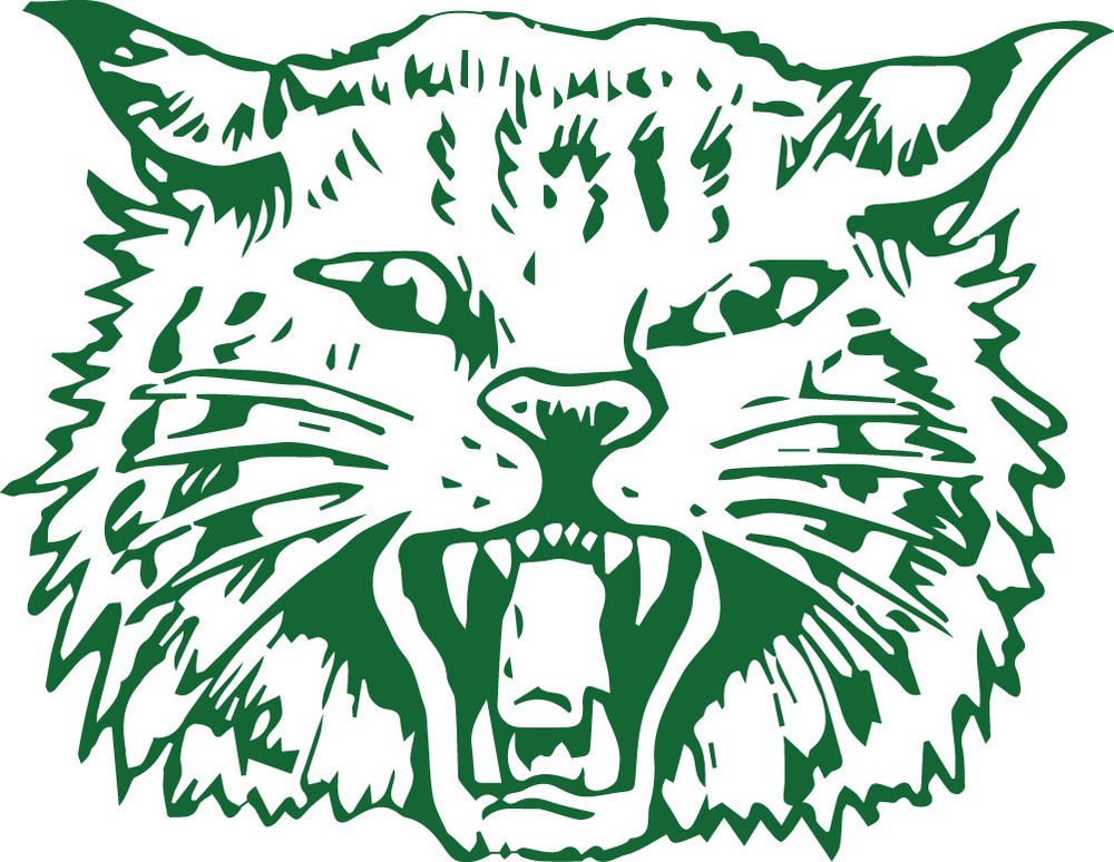 AHS Wildcat