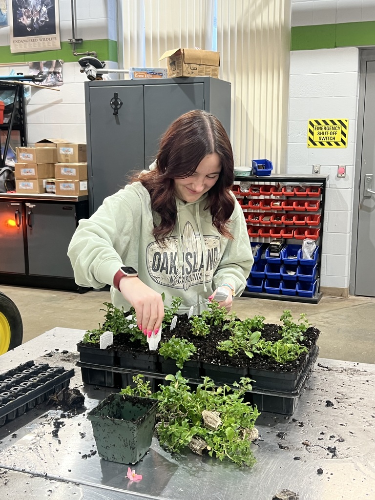 CTE agriscience students have been busy planting and preparing for the spring plant sale this past month. Students have planted and prepared over 100 hanging baskets, 50 patio planters, and hundreds of annual and perennial plants from seed and plugs. The sale this year will be held May 8th and 9th.