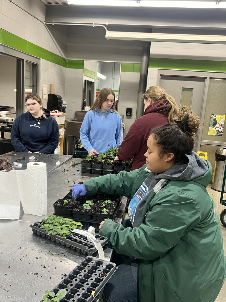 CTE agriscience students have been busy planting and preparing for the spring plant sale this past month. Students have planted and prepared over 100 hanging baskets, 50 patio planters, and hundreds of annual and perennial plants from seed and plugs. The sale this year will be held May 8th and 9th.