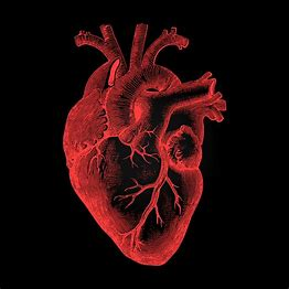 Run With Your Heart Alpena -Not an APS Sponsored Event https://runsignup.com/Race/MI/Alpena/RunWithYourHeartAlpena