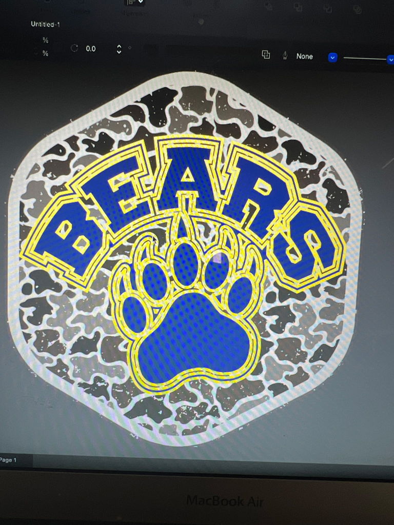 Bears