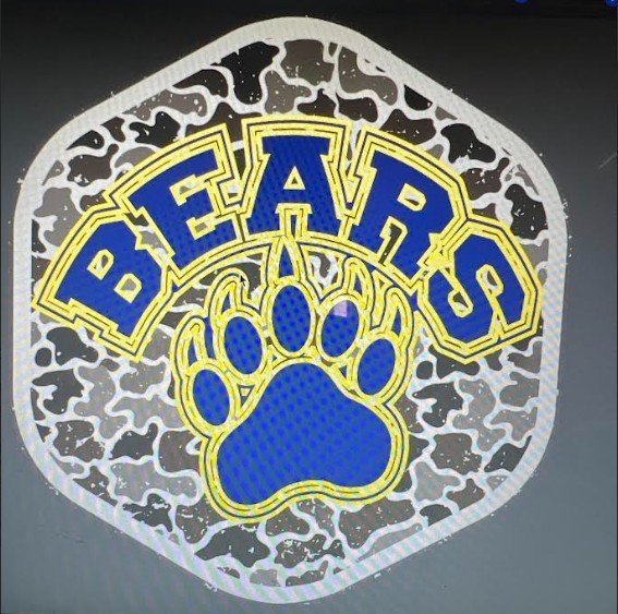 Bears Logo