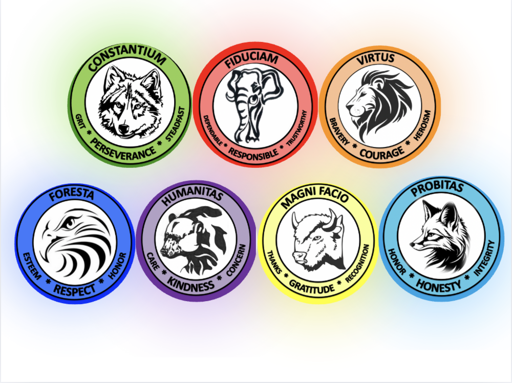 7 circles with the different houses at vineyard elementary