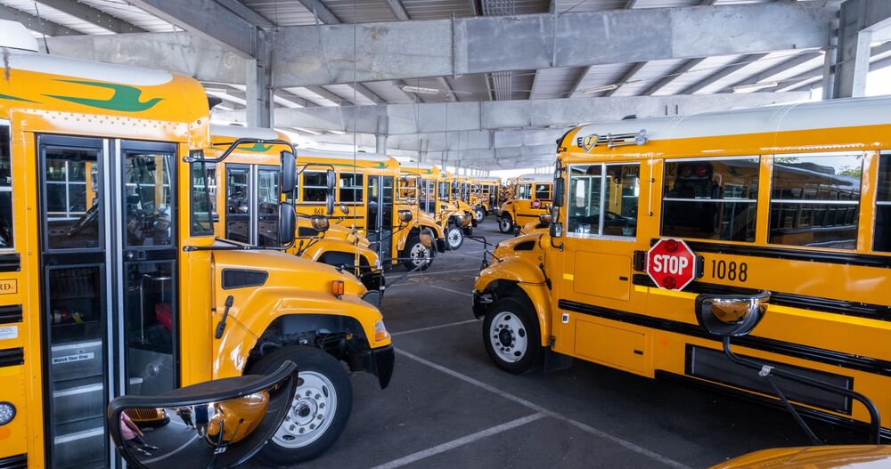 buses parked in the yard