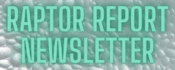 NEWSLETTER LOGO